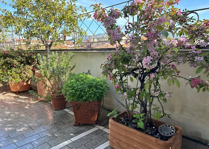 Cherubini Residence